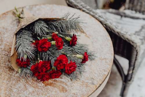 Winter bouquet with red carnations and pine