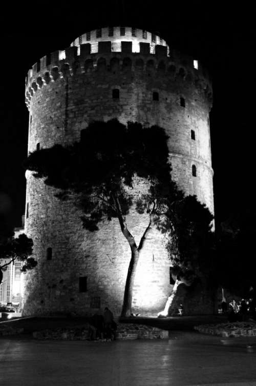 Casrle tree medieval nighttime 