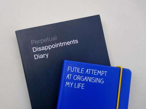 diary disappointment organise futile attempt