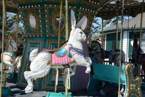 carousel merry go round ride amusement carnival