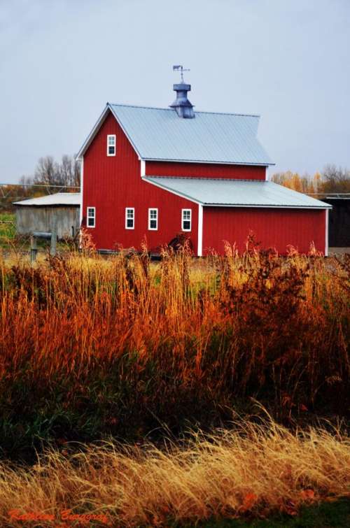 Barnyard barn farm country Autumn 