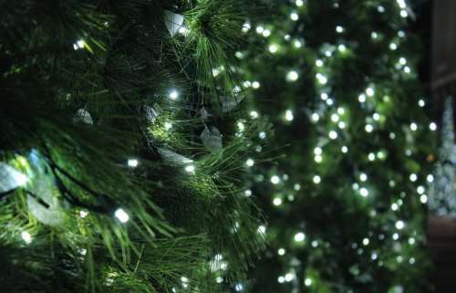 macro bokeh christmas christmas tree lights