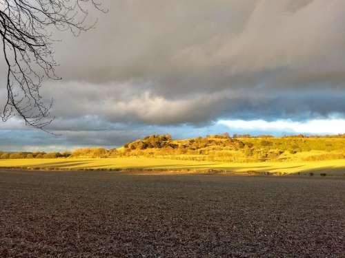 sunset hills golden winter farm