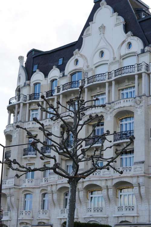 Europe Switzerland Geneva tree architecture