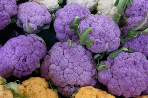 cauliflower vegetable food purple violet