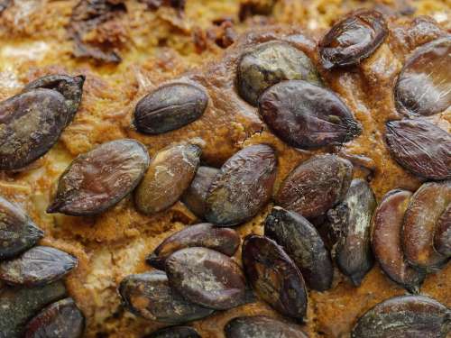 food salt pumpkin seeds grilled seeds of pumpkin cake with pumpkin seeds