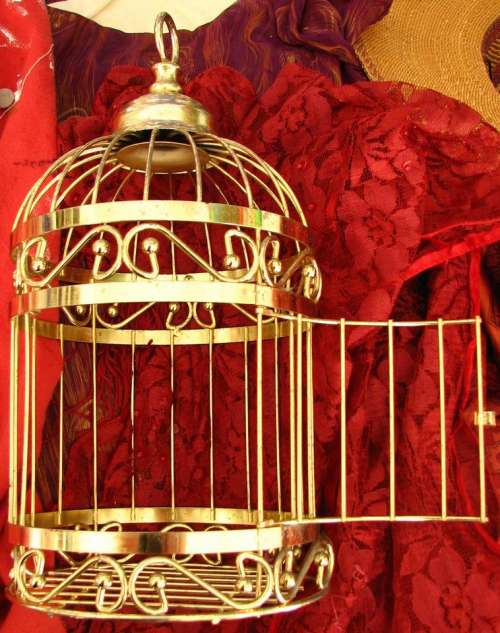 birdcage bird cage red gold open