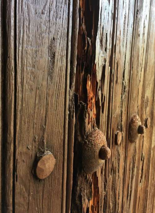 door texture wood texture 