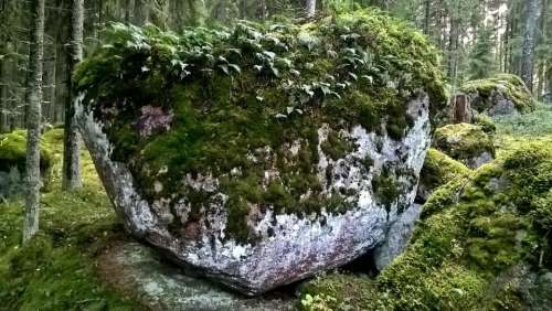 boulder moss mossy green lush