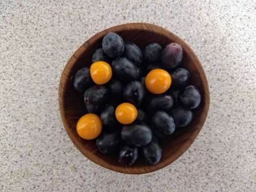 grapes bowl yellow Physalis contrast