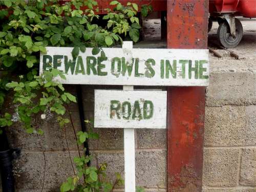 owls beware sign notice warn