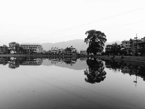 Tree lake reflection water black and white