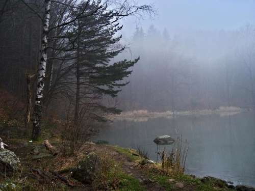 nature lake autumn fog trees