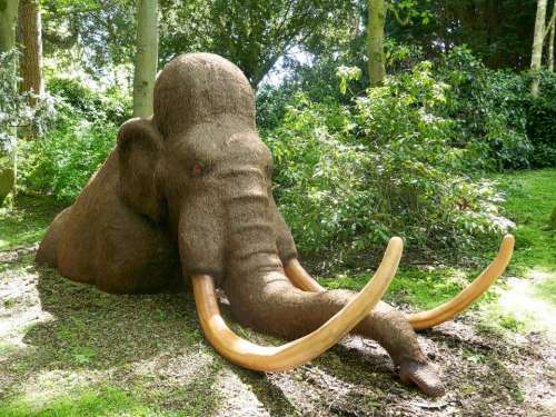 animal mammoth tusk prehistoric ancient