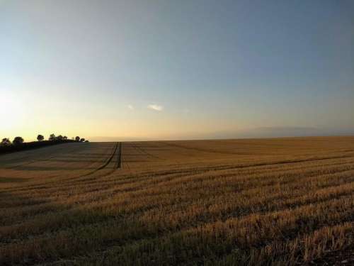harvest field downs berkshire sunset