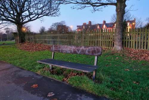 bench jesmond trees park fence