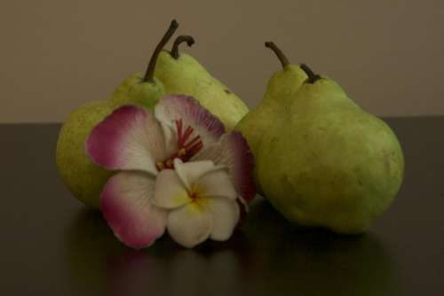 Still Life Pear Petal Hibiscus Plumeria