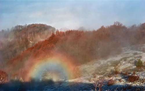 morning rainbow mountain fog forest