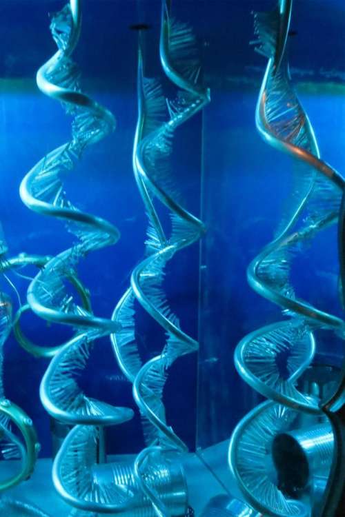 spirals blue DNA genes nucleic acid