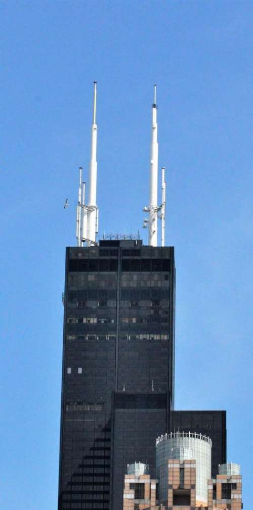 Chicago Sears Tower skyscraper architecture building