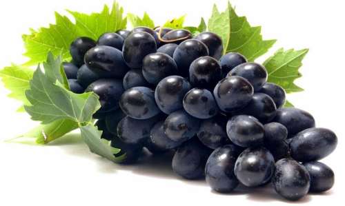 Blueberry blueberries fruit food 