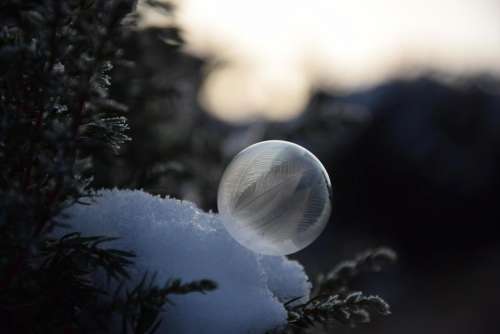 Soap bubbles frozen cold ice winter
