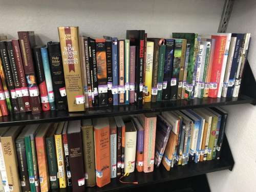 goodwill thrift store store shelf books used books