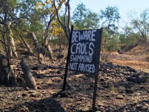 wildlife crocs crocodiles sign outback