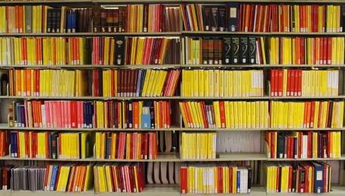 library libraries books bookshelves spines