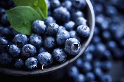 Fruit blueberries blueberry 