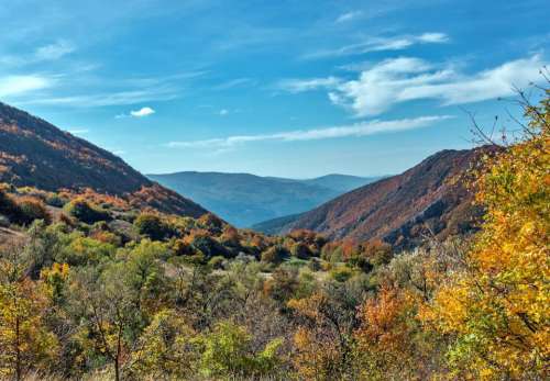 autumn landscape forest mountain trees