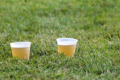 lawn beer drink cup alcohol
