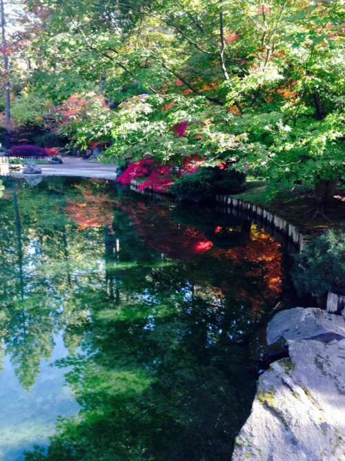 pond landscaping zen garden garden yard