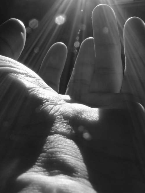 Hands hand fingers light