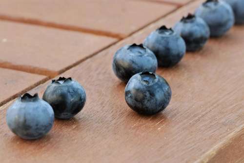 blueberries blue berries wood line