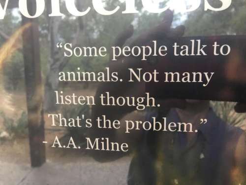 quote quotation milne animals people