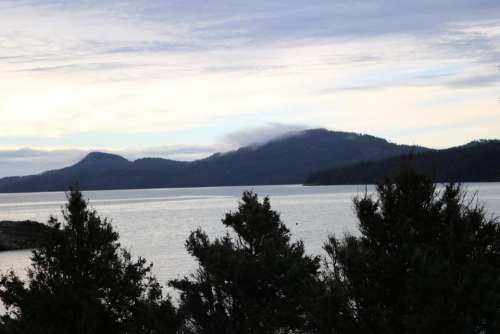 islands trees water Orcas Island Eastsound
