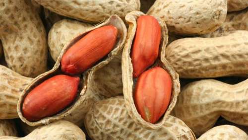 Peanuts nuts food legume food 