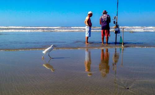 Seashore beach ocean fishing 