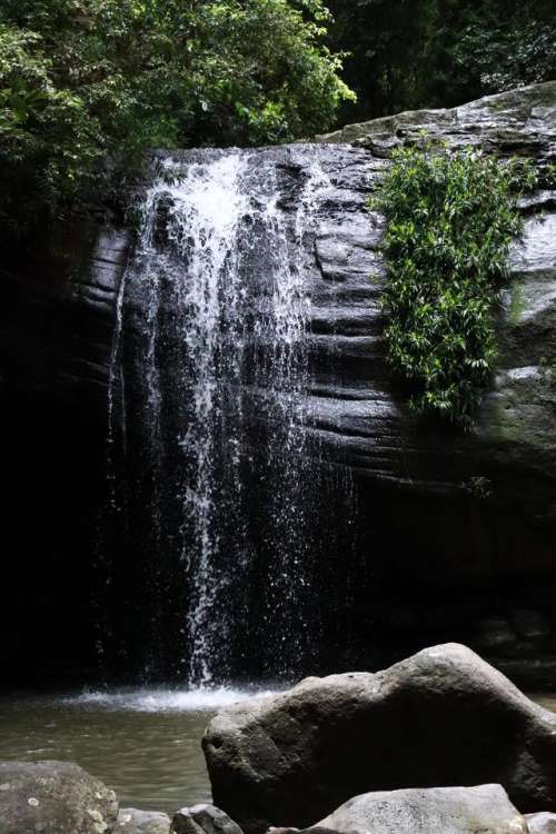 waterfall rainforest