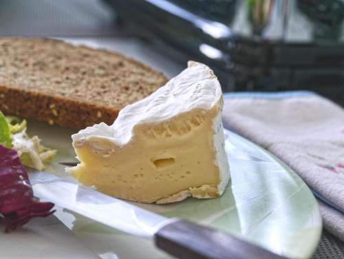food milk cheese camembert French cheese