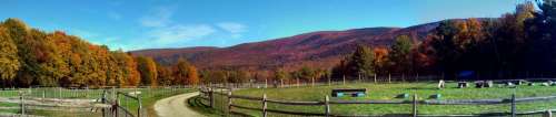 Hildene Vermont farm rail fence autumn