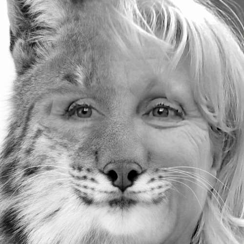 face animation lion face female woman