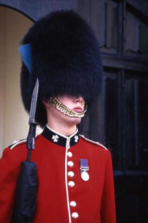 palace guard London red coat   dark hat  soldier   Buckingham palace