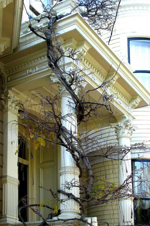 Victorian porch vines structure architecture