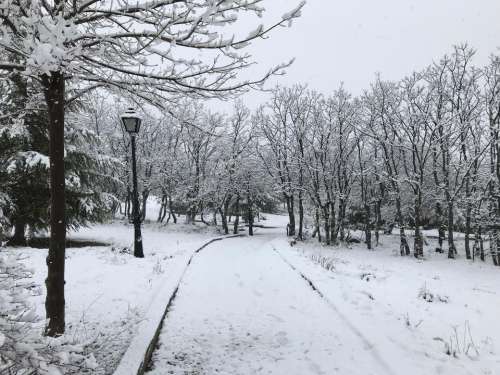 Snow winter col park path