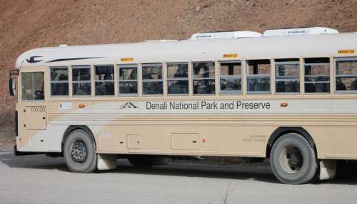 Denali National Park Bus transportation