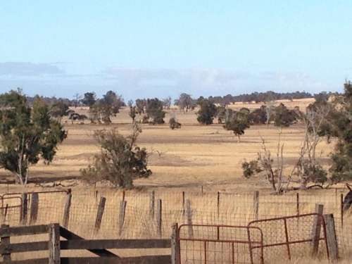 Western Australia scenery landscape
