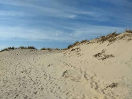 dune sea beach footsteps