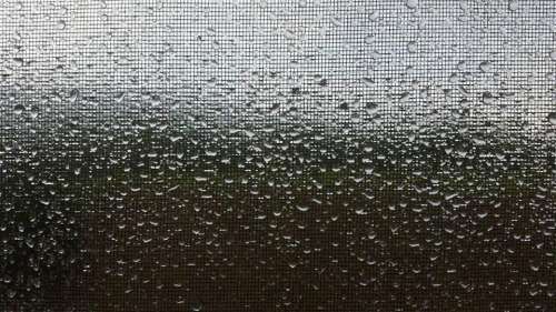 Rain Raindrops Window Screen Water Weather